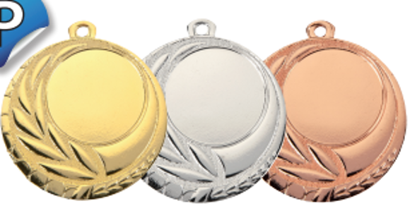 Wholesale Cheap Gold Silver Bronze Metal Business Gift Karate Trophy Award Sports Blank Medal