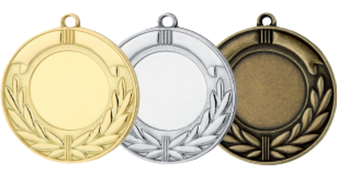 Wholesale Cheap Gold Silver Bronze Metal Business Gift Karate Trophy Award Sports Blank Medal