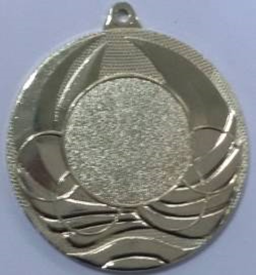 Wholesale Cheap Gold Silver Bronze Metal Business Gift Karate Trophy Award Sports Blank Medal
