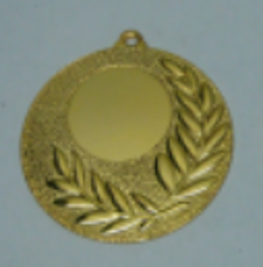 Wholesale Cheap Gold Silver Bronze Metal Business Gift Karate Trophy Award Sports Blank Medal