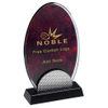 Noble Manufacturer Wholesale Glass Plaque With Custom Printing Logo UK Gift Personalized Sports Soccer Trophy Award 