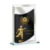 Noble Manufacturer Wholesale Glass Plaque With Custom Printing Logo UK Gift Personalized Sports Soccer Trophy Award 
