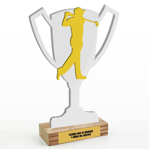 Noble High Quality Acrylic With Custom Bespoke Logo Business Gift Sports Awards Golf A Hole in One Trophy Hand Craft