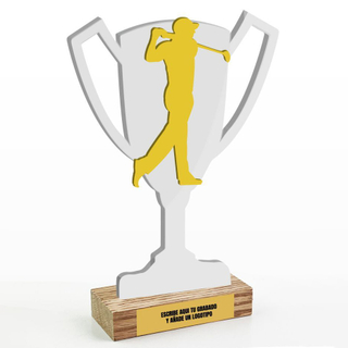 Noble High Quality Acrylic With Custom Bespoke Logo Business Gift Sports Awards Golf A Hole in One Trophy Hand Craft