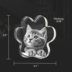 Noble Crystal Cat Paw With 3D Laser Engraving Picture Inside Cat Paw Pet Gift Paperweight