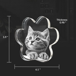 Noble Crystal Cat Paw With 3D Laser Engraving Picture Inside Cat Paw Pet Gift Paperweight