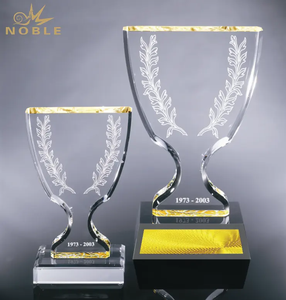 Noble Best Selling New Design Custom Engraving Crystal Champion Cup Trophy