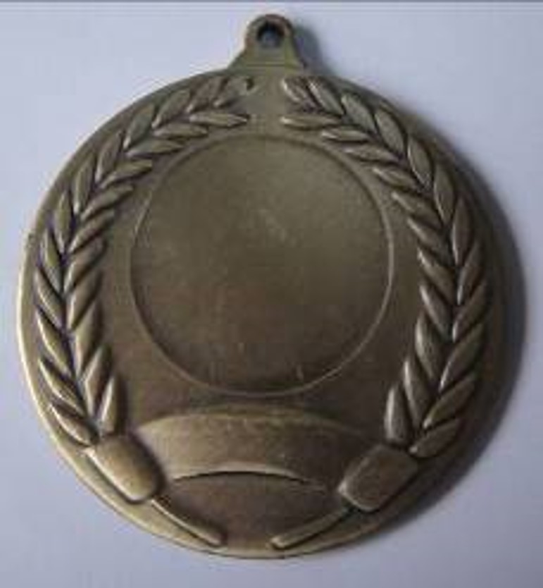 Wholesale Cheap Gold Silver Bronze Metal Business Gift Karate Trophy Award Sports Blank Medal
