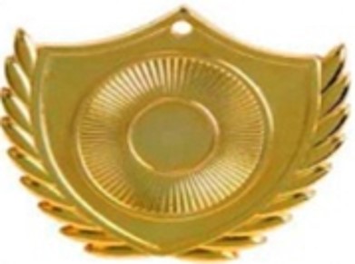 Wholesale Cheap Gold Silver Bronze Metal Business Gift Karate Trophy Award Sports Blank Medal