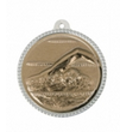 Wholesale Cheap Gold Silver Bronze Metal Business Gift Karate Trophy Award Sports Blank Medal