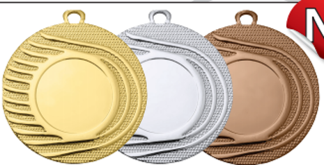 Wholesale Cheap Gold Silver Bronze Metal Business Gift Karate Trophy Award Sports Blank Medal