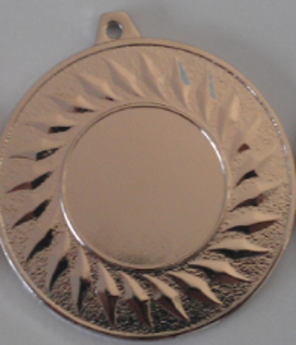 Wholesale Cheap Gold Silver Bronze Metal Business Gift Karate Trophy Award Sports Blank Medal
