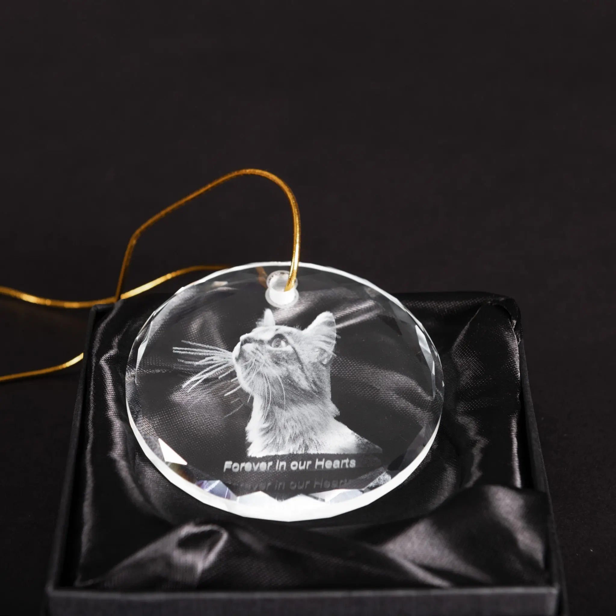 Noble Manufacturer Wholesale UK Gift Personalized Pet Crystal Glass Souvenir Plaque Hanger