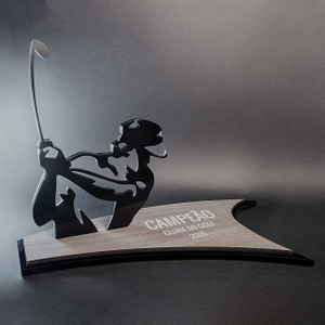 Noble High Quality Acrylic With Custom Logo Business Gift Sports Awards Golf A Hole in One Trophy Hand Craft