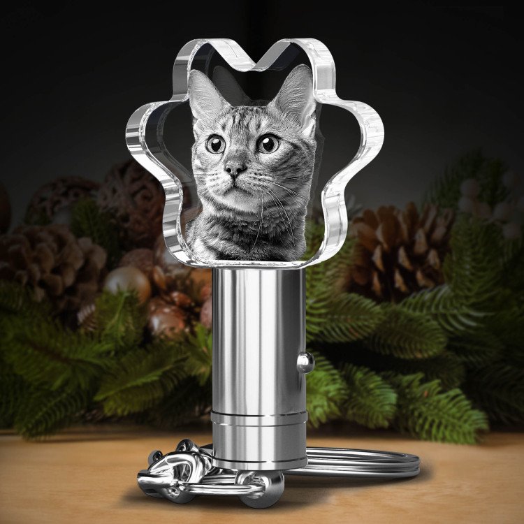 Noble Crystal Cat Paw With 3D Laser Engraving Picture Inside Cat Paw Pet Gift LED Key Chain