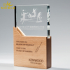 New Design Custom Crystal Trophy with Wood Base 