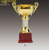 Metal Trophy Cup