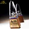Free Engraving Custom Crystal Trophy on Wooden Base 