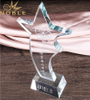 Free Engraving High Quality Crystal Star Trophy