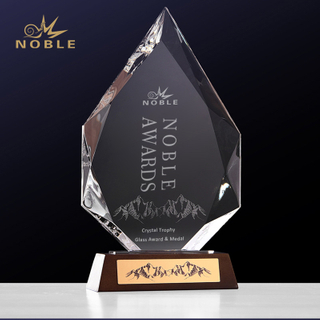 Personalized Logo Crystal Shield Trophy Award